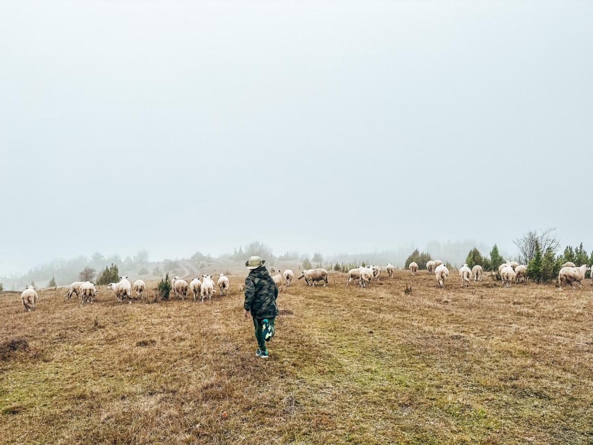 Vila Petunija Sjenica Buitenkant foto